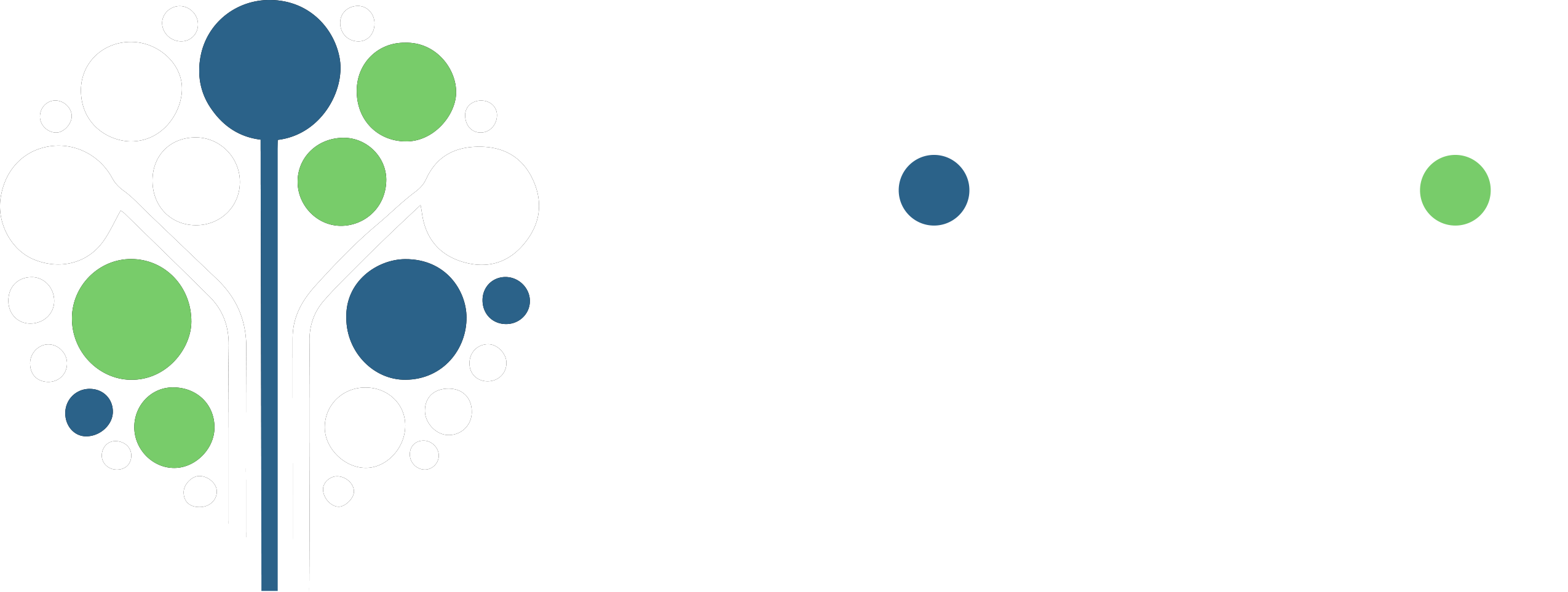 Logo Cidi Quimica Blanco